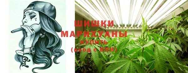хмурый Болотное
