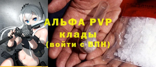 хмурый Болотное