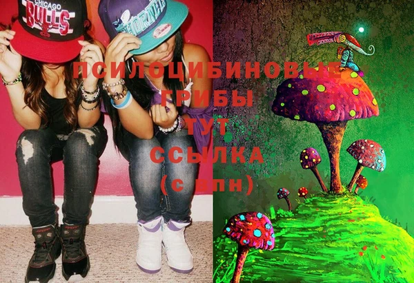 ГАЛЛЮЦИНОГЕННЫЕ ГРИБЫ Нягань